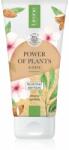 Lirene Power of Plants Almond peeling intensiv de curățare cu efect de nutritiv 175 ml
