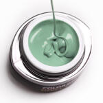 BRILLBIRD Brush&Go színes zselé - GO 132 - 4, 5ml