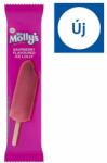 Tesco Ms Molly's málnaízű vizes jégkrém málnás szósszal töltve 70 ml