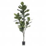 Emerald Ficus artificial Lyrata 160 cm (423643)