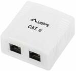 Lanberg UTP Data Box 2-port RJ45 unshielded cat. 6 (OU6-0002-W) (OU6-0002-W)