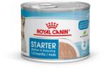 Royal Canin Starter Mother & Babydog Mousse - kölyökkutya pépes nedves táp 12 x 195 g