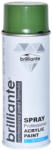 BRILLIANTE Vopsea Spray Verde Reseda (Ral 6011) 400 Ml Brilliante (08713) - autobob