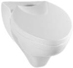 Villeroy & Boch Vas WC suspendat, Villeroy&Boch Oblic, 41.5x53.5cm, Star White CeramicPlus, 66641RR2 (66641RR2)