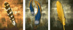 iPicasso Set 3 picturi pe numere, cu sasiu, Pene, 50 x 120 cm (PC34050011)