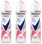 Rexona Advanced Protection Deodorant pentru femei Buchet luminos 3x150ml (8720181450396)