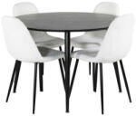  Étkezőgarnitúra Dallas 2541