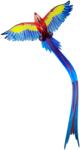 Eolo 3D pop-up szélsárkány - papagáj (EF3DPARROT)