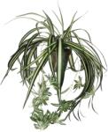 Mica Decorations műnövény Chlorophytum cserépben magasság: 45 cm átmérő: 45 cm (918252)