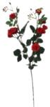  Mocsári rózsa 5 szál piros