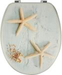 baliv WC-ülőke Carduma MDF tengeri csillag motívummal (304269)