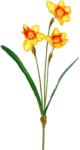  Művirág nárcisz 3 virággal sárga 57 cm (21-7556-21)