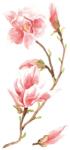  Crearreda Magnolia öntapadós dekoráció