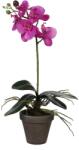 Mica Decorations lepkeorchidea művirág cserépben 13 cm átmérő x 48 cm lila