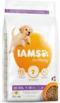 Iams Dog Puppy Pui mare 3kg (1754-128061)