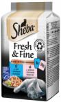 Sheba Fresh & Fine kapszula macskáknak, lazac és tonhal 3 x (6 x 50 g)