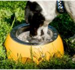 KIWI WALKER Tál kutyáknak Kiwi Walker CHEESE zöld - 0, 75 L