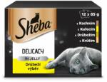 Sheba alutasakos eledel baromfi válogatás zselében 6 x (12 x 85g)