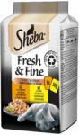 Sheba Fresh & Fine kapszula macskáknak, csirkéből és pulykából 3 x (6 x 50 g)