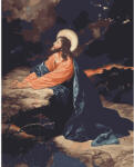 Criando Picturi pe numere Religioase, 40x50 cm, Rugaciune Absoluta, PDP3653 (PDP3653_5040) Carte de colorat