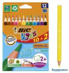BIC Színes ceruza készlet, háromszögletű, BIC KIDS "Evolution Triangle", 12 különböző szín (BC8871463) - kecskemetirodaszer