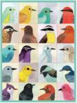 Galison - Puzzle Prieteni aviare - 1 000 piese Puzzle
