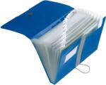 Herlitz Mapa A4 expandabila 12 compartimente, elastic si index (11208402)