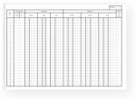 Office Set 100 fise cont analitic fata/verso, carton duplex 230g (16913)