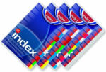 Office Index plastic, A4, color 10/set (NK59125)