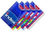 Office Index plastic A4 color set 10 (NK59125)