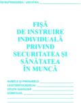 Office Max Fisa individuala instructaj SSM cu declaratie traseu (TI8093)
