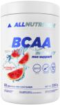 ALLNUTRITION BCAA Max Support | Instant [500 грама] Диня