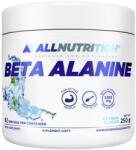 ALLNUTRITION Beta-Alanine Endurance MAX [250 грама] Ice Fresh