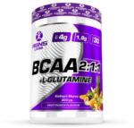 RGNS BCAA 2: 1: 1+ L-Glutamine [300 грама] Плодов Пунш