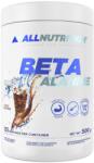 ALLNUTRITION Beta-Alanine Endurance MAX [500 грама] Кола