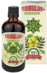 Cvetita Herbal Tribulus + Ginkgo [100 мл]