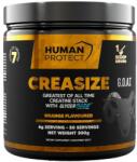 Human Protect Creasize | with 7 Forms of Creatine [300 грама] Портокал