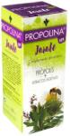 Artesania Agricola Propolina | Propolis Syrup [250 мл]