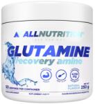 ALLNUTRITION Glutamine Recovery Amino [250 грама] Неовкусен