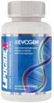 Evogen Nutrition Lipocide X | Thermogenic Matrix [60 капсули]