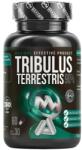 MAXXWIN Tribulus Terrestris 90% [60 капсули]