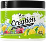 SportDefinition Creation [300 грама] Ябълка и Лимон