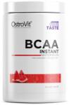 OstroVit BCAA Instant Powder [400 грама] Диня