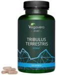 Vegavero Tribulus Terrestris [120 капсули]