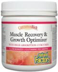 Natural Factors CurcuminRich | Muscle Recovery & Growth Optimizer [156 грама]