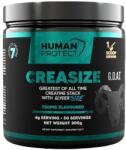 Human Protect Creasize | with 7 Forms of Creatine [300 грама] Тропически Плодове