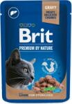 Brit Pungă de Brit Premium Cat Sterilis din friptură 100g (293-111832)