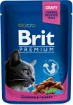Brit Pouch Brit Premium Cat pui si curcan 100g (293-100273)