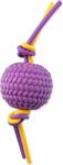 Dog Fantasy Jucărie Dog Fantasy minge de spumă violet cu frânghii flexibile TPR 22x6.5x6.5cm (454-31326)