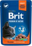 Brit Geanta Brit Premium Cat Sterilisod somon 100g (293-111833)